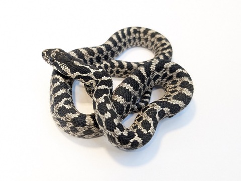 PXL_20250715_094007462~2