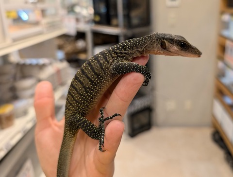 PXL_20241228_101522864~2