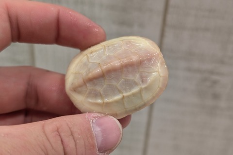 PXL_20260102_093540239~2