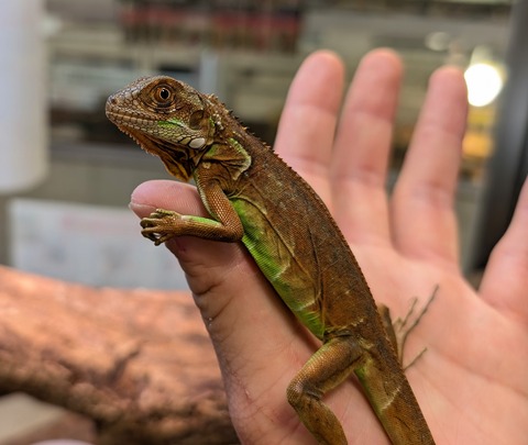 PXL_20250628_105634813~2