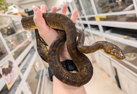 PXL_20250107_113727701~2