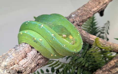 PXL_20260716_085523698~2