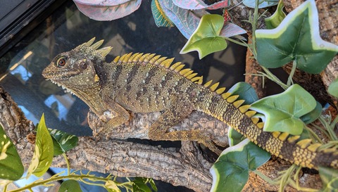 PXL_20250915_020834331~2