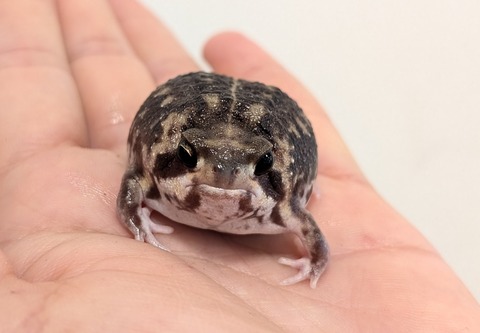 PXL_20251207_014119571