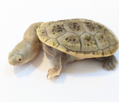 PXL_20250424_090228462~2