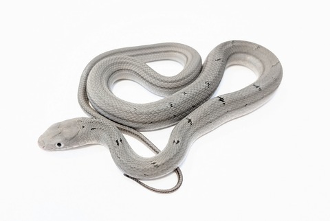 PXL_20251031_100321817~4