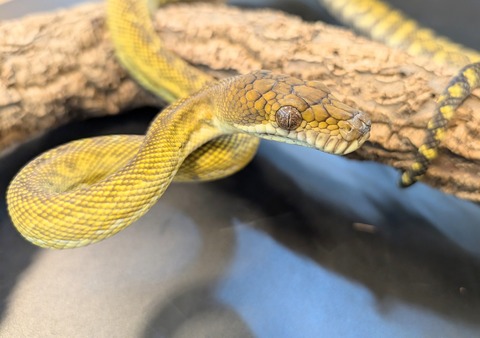 PXL_20250106_100144969~2