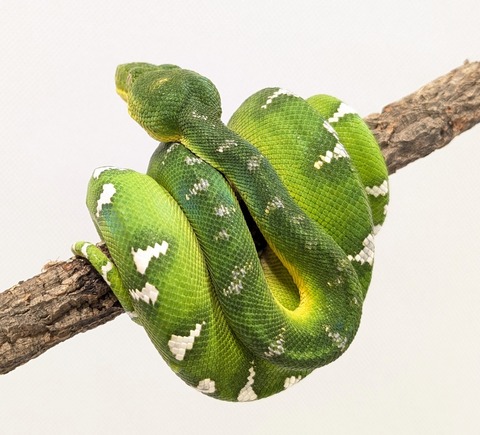 PXL_20250520_075044208~2