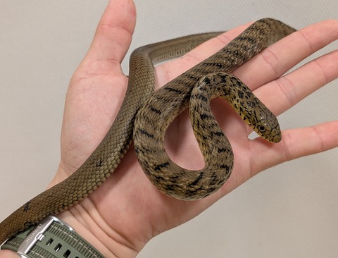 PXL_20250620_131939110~2