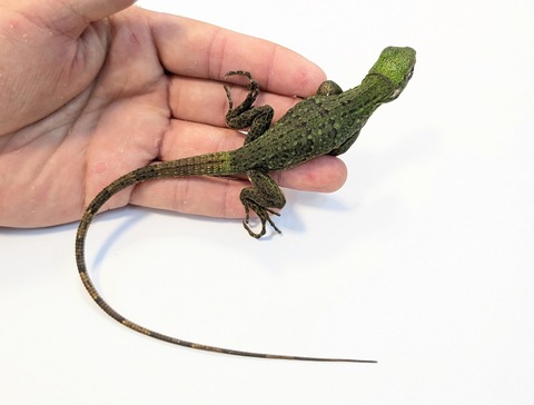 PXL_20250820_105903897~2