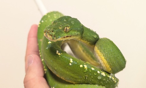 PXL_20251120_070656319~2