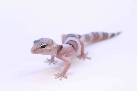 20220714-IMG_5935