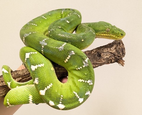 PXL_20250920_111600668~2