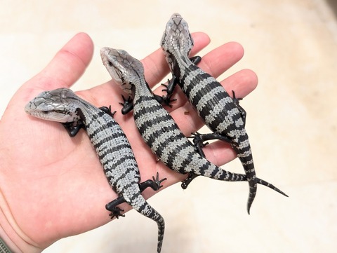 PXL_20250601_083451546~2