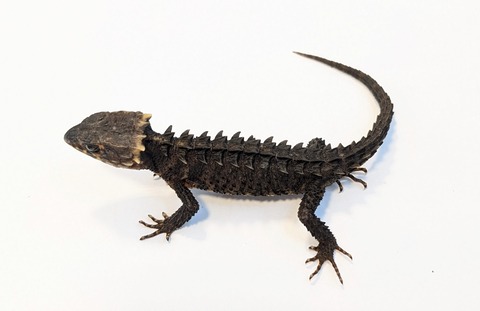 PXL_20250820_112248058~2