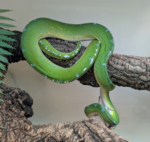 PXL_20250522_105239118~2