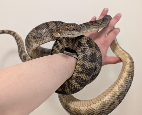 PXL_20250628_053141381~2