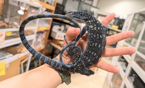 PXL_20251003_114128688~2