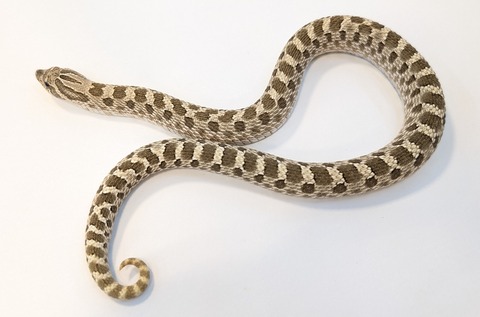 PXL_20251103_103432857