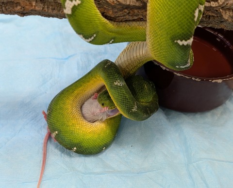 PXL_20250517_121858112