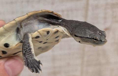 PXL_20251121_082932350