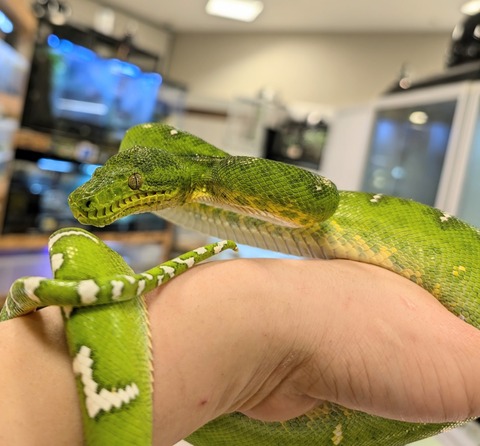 PXL_20241224_110115401~2