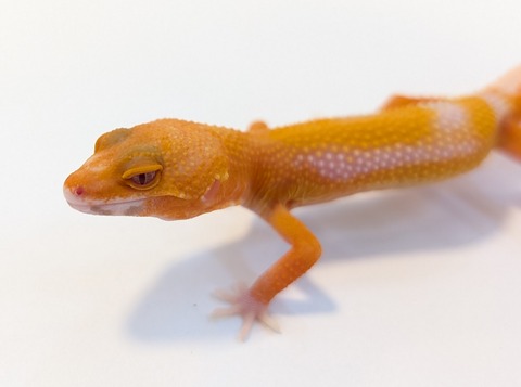 PXL_20250715_100225234~2