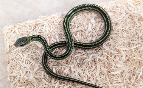 PXL_20251122_063535931~2