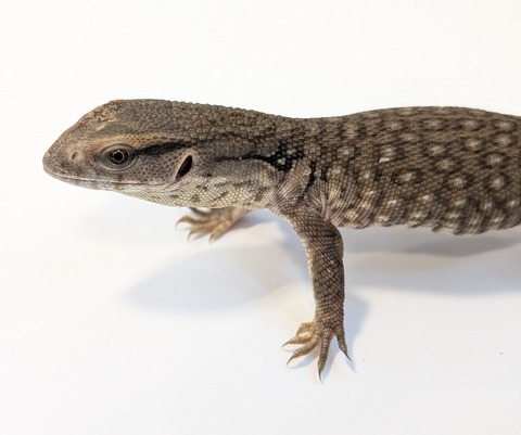 PXL_20250622_114100302~2