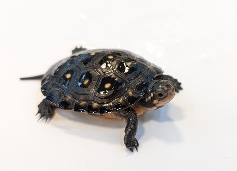 PXL_20251103_102021665~2