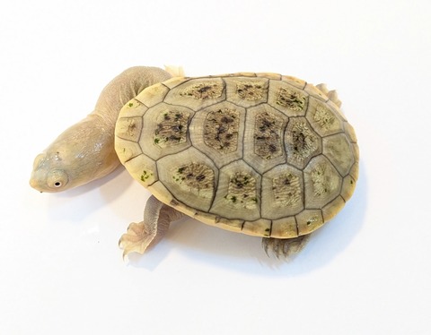 PXL_20250424_090235767~2