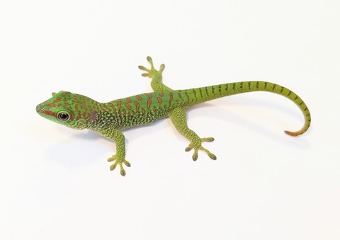 PXL_20250424_084649333~2