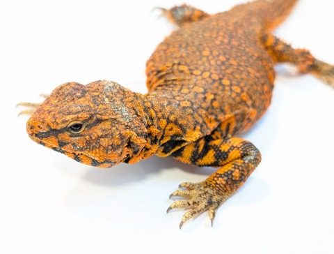 PXL_20250501_081419585~2