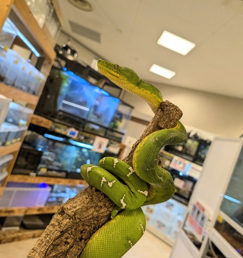 PXL_20241224_110824542~2