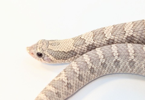 PXL_20251103_103504410~3