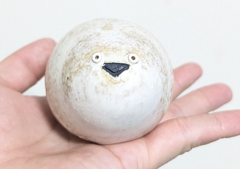 PXL_20260204_134149342~2