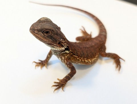 PXL_20250401_093101186~2