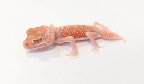 PXL_20251003_094451425~2