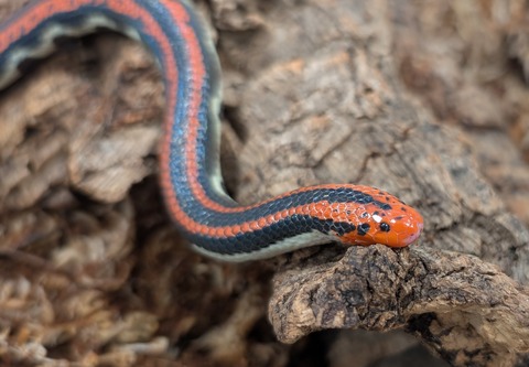 PXL_20251124_084501095~2