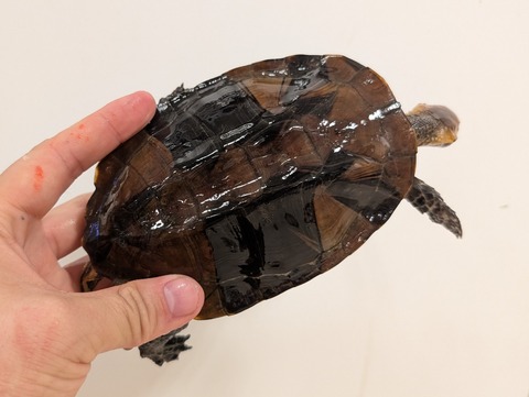 PXL_20250620_132531185~2