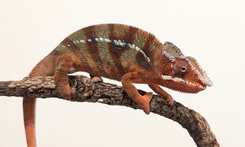 PXL_20251207_095817748~2