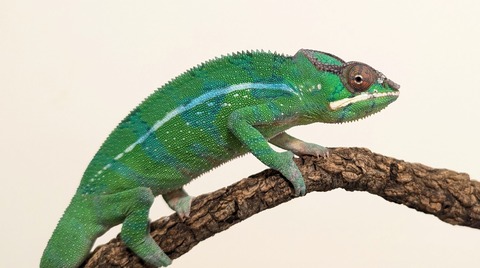 PXL_20251207_094445025~2