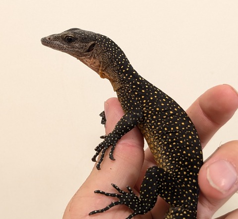 PXL_20250628_071725185~2