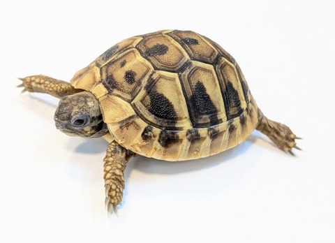 PXL_20250318_091405930~2