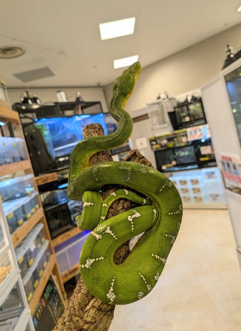 PXL_20241224_110846840~2