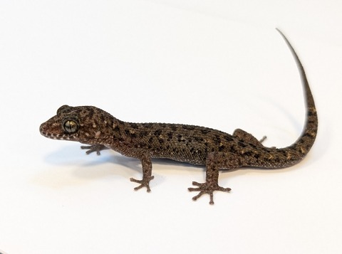 PXL_20250401_100406632~2