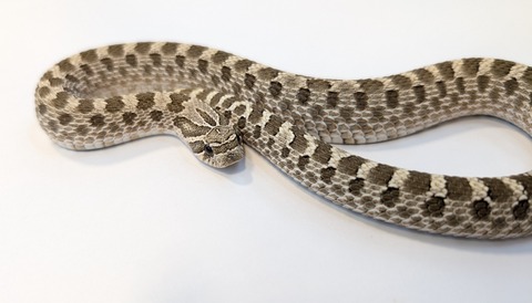 PXL_20251103_103442779~2