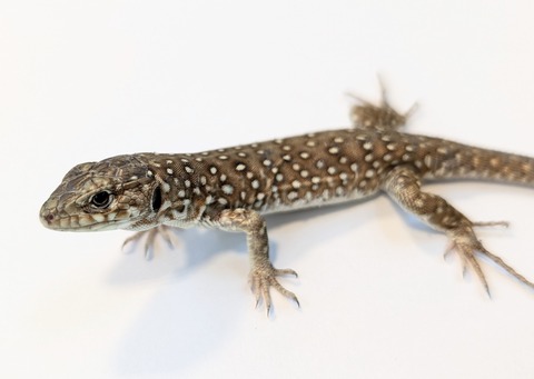 PXL_20250906_101113281~2