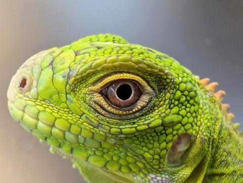 PXL_20241218_114206058~2