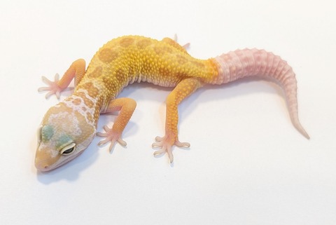 PXL_20250501_083106749~2